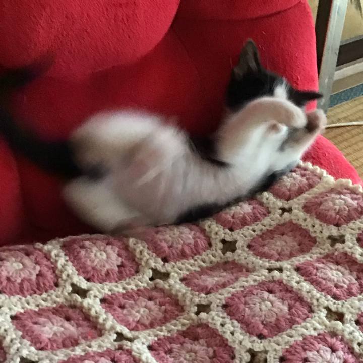 70e63704 5c0f 4711 af00 ebdbab442431 1623477674961