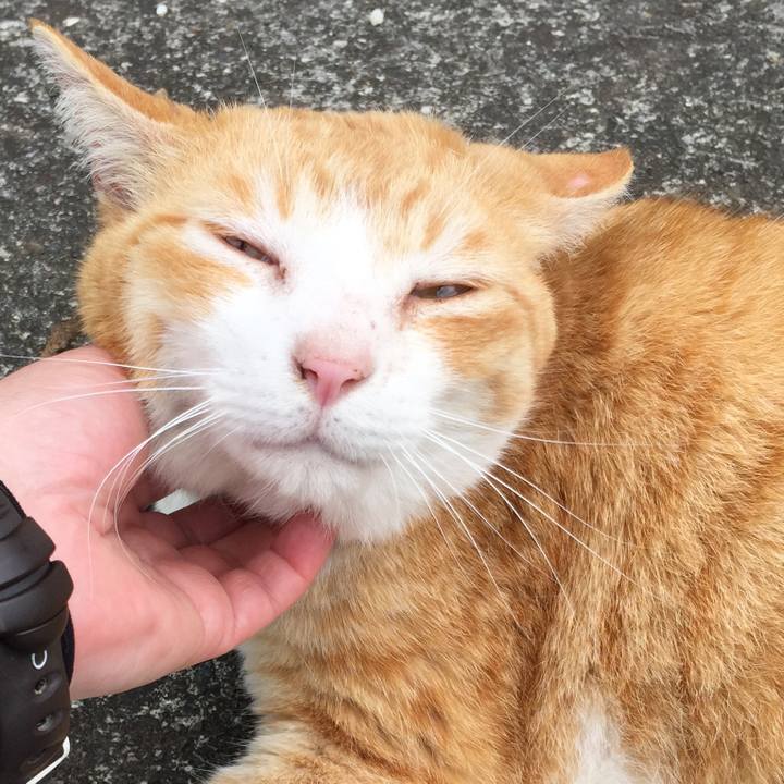 70e63c35 69d2 4f5a 862c 8fa6297a5b96 1556776574756