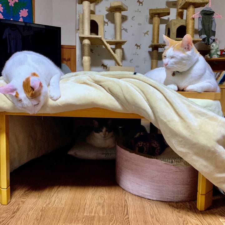 70e64a00 572a 49c3 bc99 68ecfaea1fe4 1573653354684