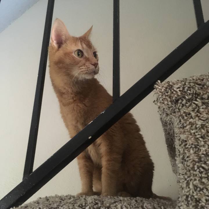 70e6750b bf5e 40dd 802e 31db6609760f 1645302715275