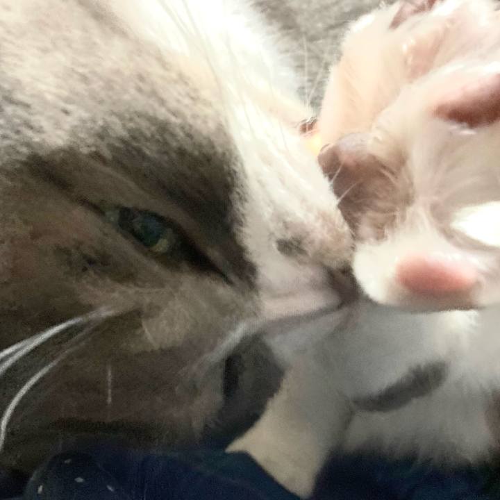 70e69740 668f 4f7c ae52 cca99820543e 1646657684315