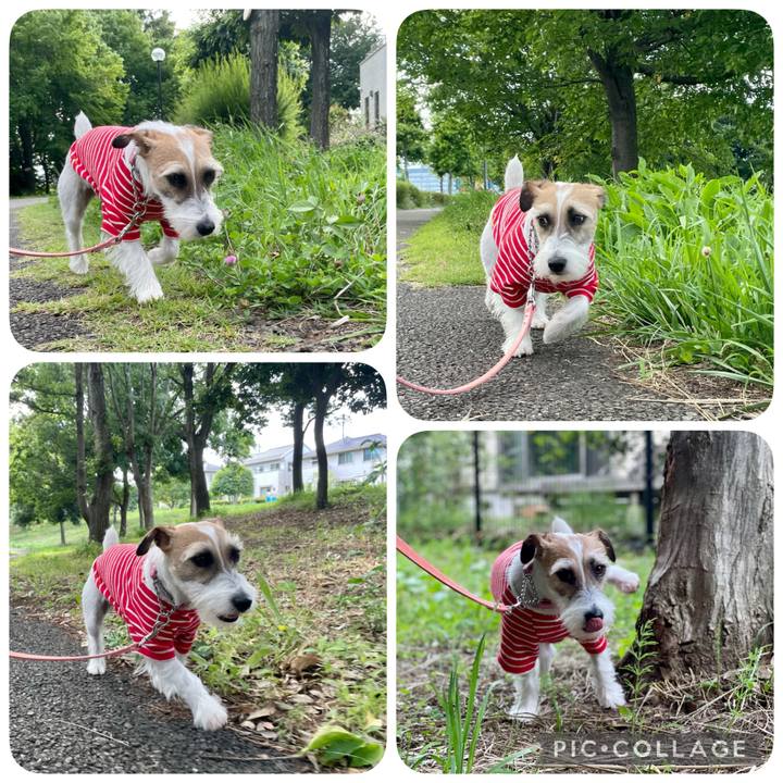 70e6a8d1 f5ca 437f 9d6c edc26ea31fb4 1623922281595