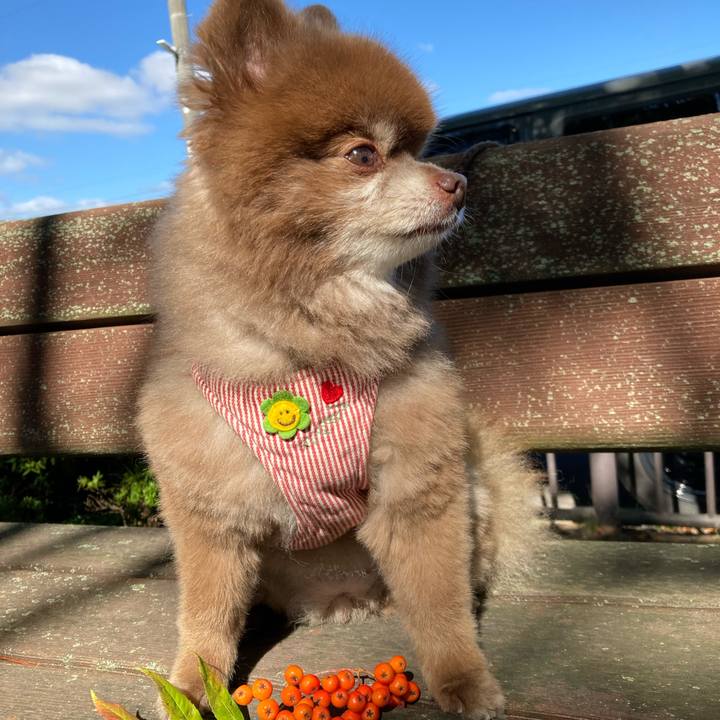 70e6ad41 2344 4b91 a1ce a0d2d4840f33 1663195101155