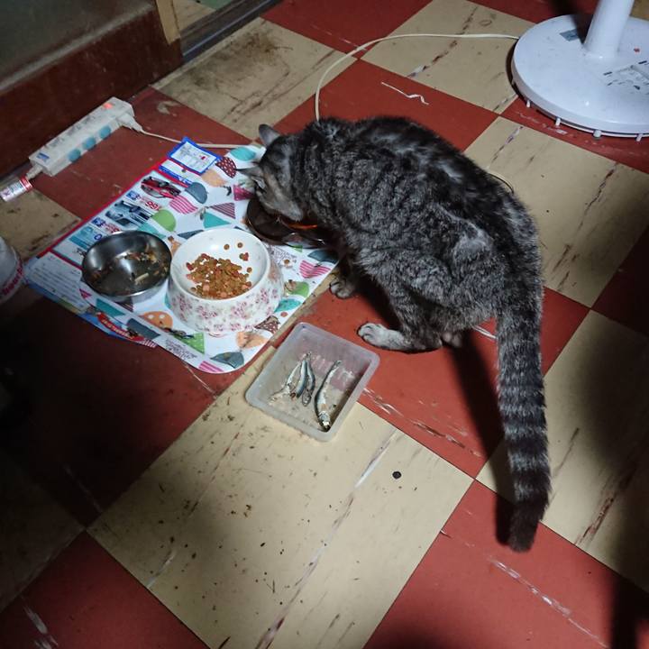 70e6b62f 24c6 49fd 882c 9b3b2b7c3ca9 1593808272371