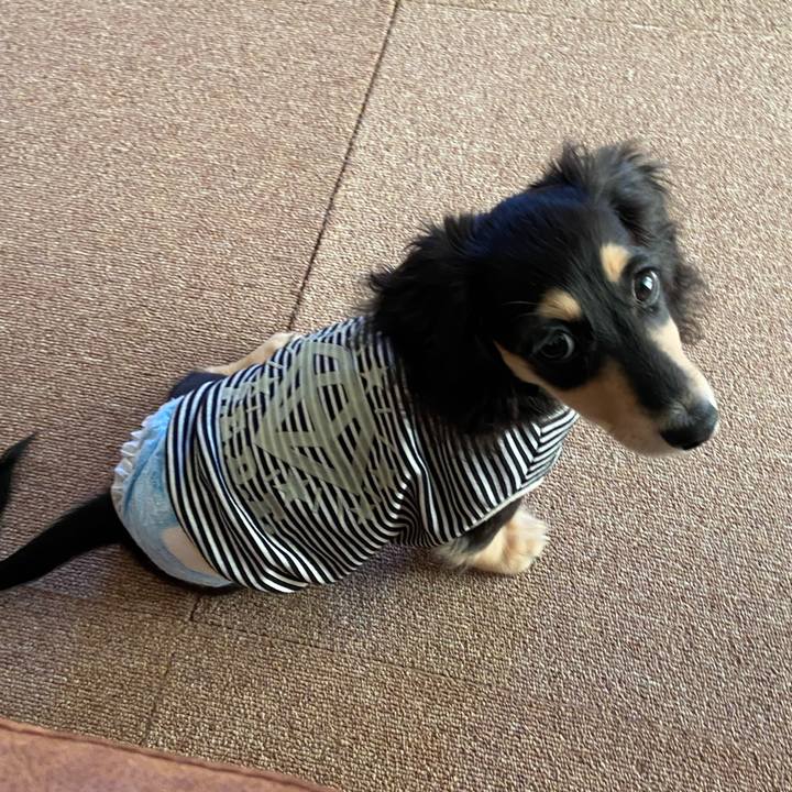 70e6bb5d dcf2 4389 b54a 9cacab007dc5 1667869939284