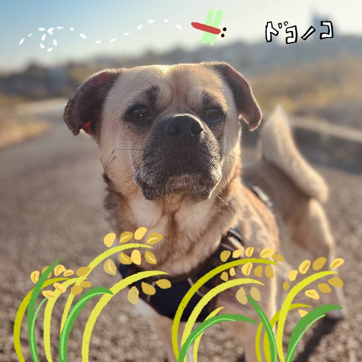 70e6bd3b 6ba1 4e32 a23d 7c1787c193ae 1762573338784