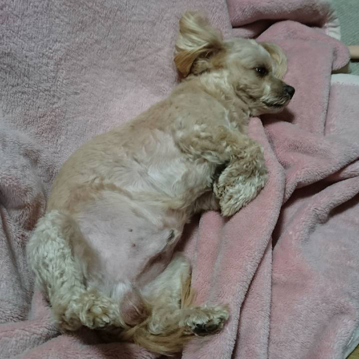 70e6c0fb 20b0 41cb 9141 60cb1621bad7 1517499702869