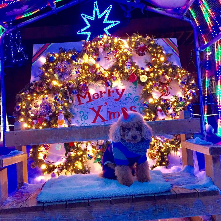 70e6c276 3c3b 4beb a026 3903d39b45b7 1545139247930