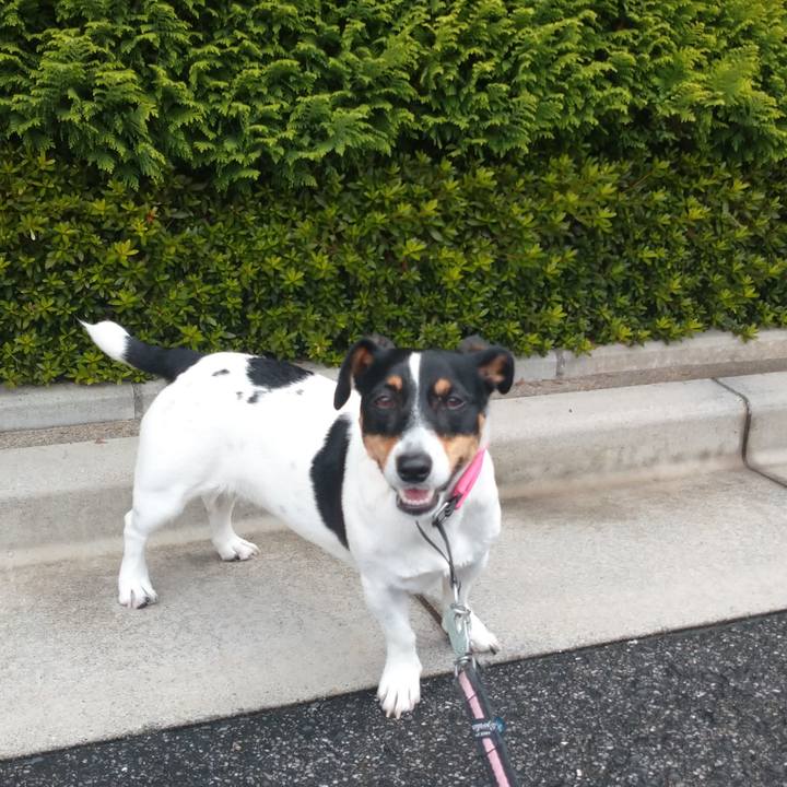 70e6f2b8 c97b 442e a0b8 33d80443b8ce 1625450117270