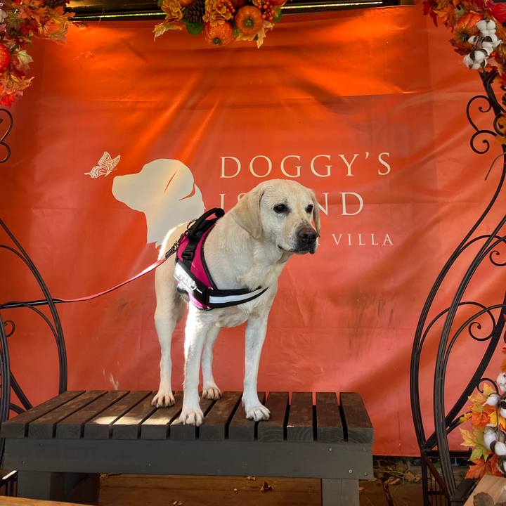 70e709f6 cf4f 46e0 a9ff 1523a3122c7a 1668681131337