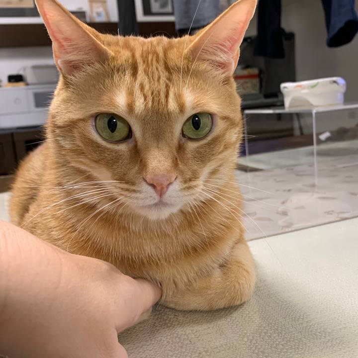 70e713ba f454 4109 b9c9 3584fca03afd 1583935634154