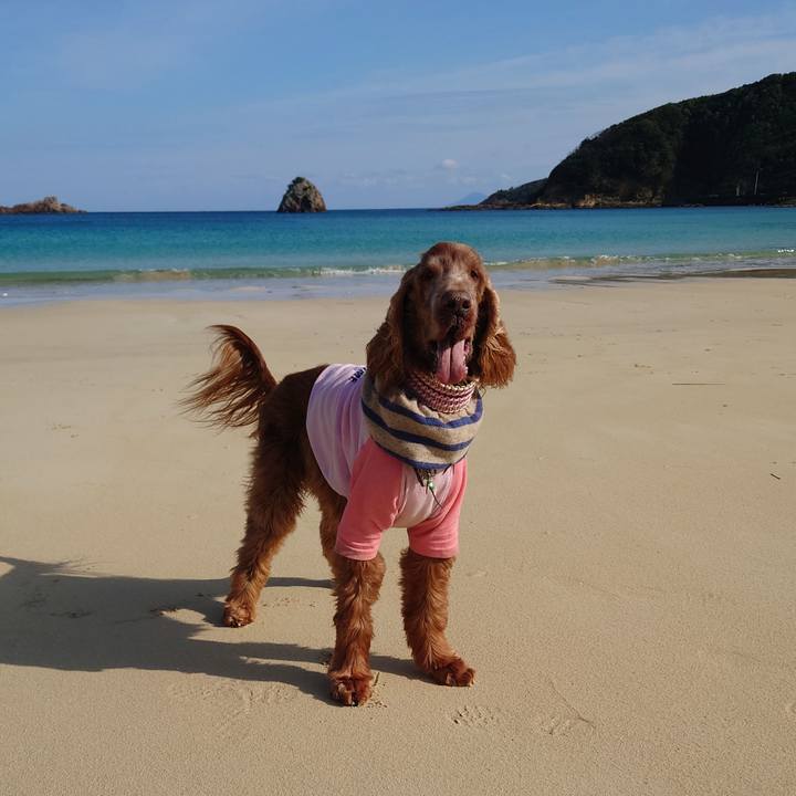 70e727be fb46 43ec b5c9 ca18de9b8986 1677135060389