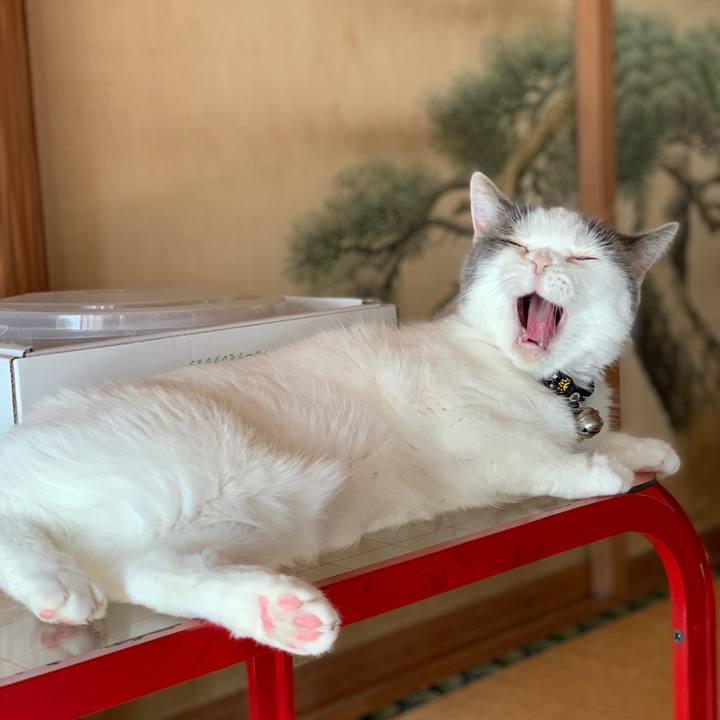 70e74b23 a525 458b 9b76 a15daa7d5efd 1731816390750