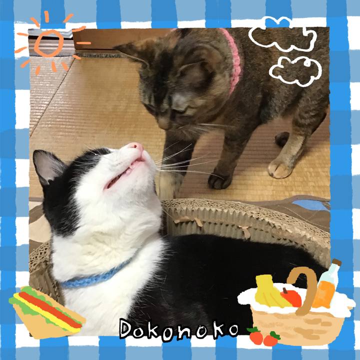 70e751b0 7505 4592 b083 5a2ad664989e 1744356973529