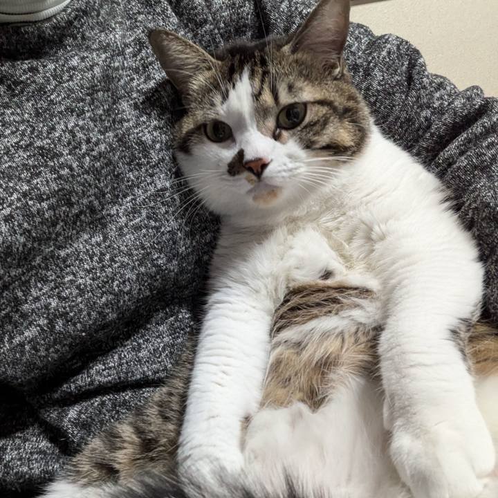 70e7899d 3fef 49f6 bc90 44d3b7466f65 1732364969948