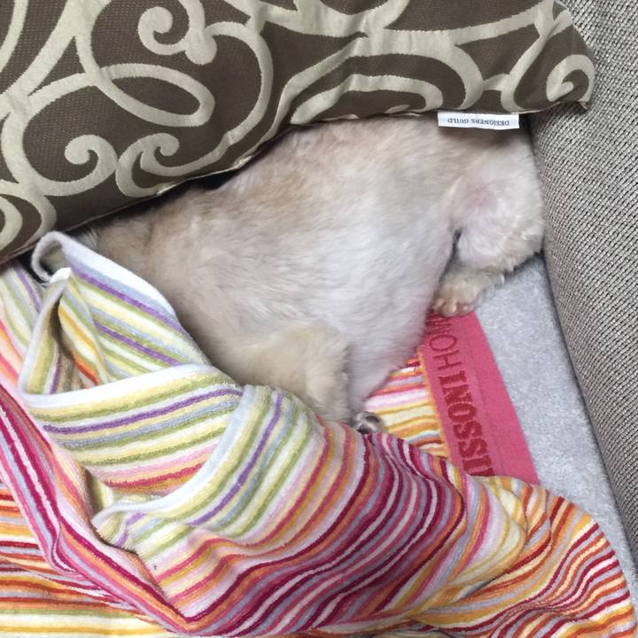 70e78fa5 f5e4 4c28 8c12 99c07cb016ef 1539083704261