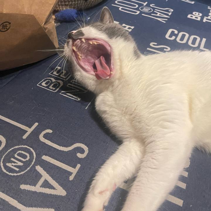 70e79934 5c22 4f84 86da 9e5155c2a0b1 1718729766262