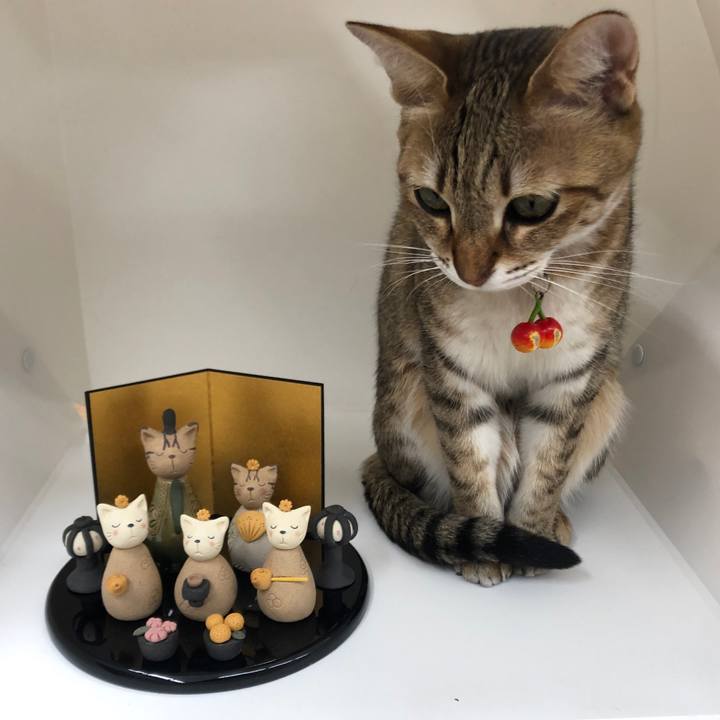 70e7a841 7f64 4d1b b2aa ebdc81cc8829 1644846676996