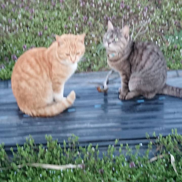 70e7b8d3 630a 4910 94f5 87c52a3cb24a 1555408860037