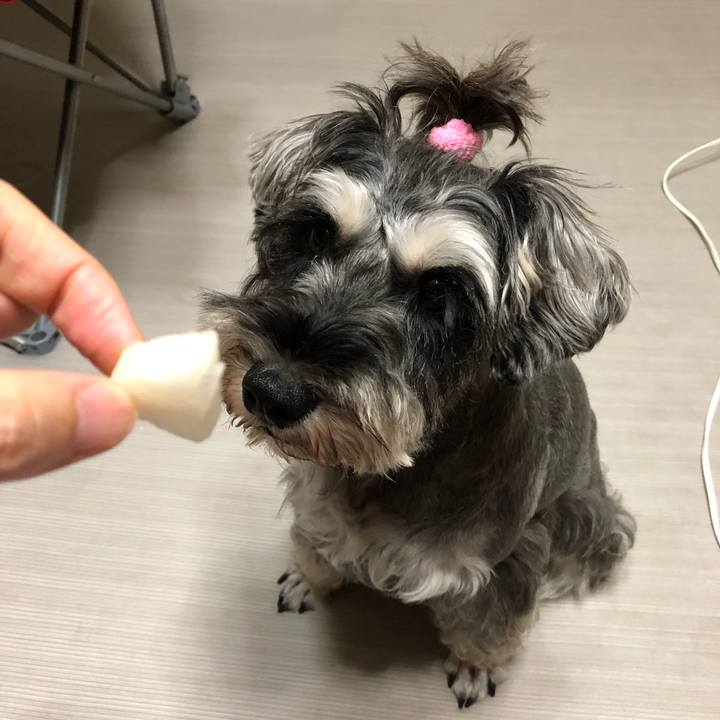 70e7d647 ad2f 4d53 8453 58891fbdcddc 1567868188683