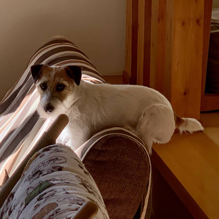 70e804ff 663f 4fd2 a128 8f666ed9c5b9 1608973502735