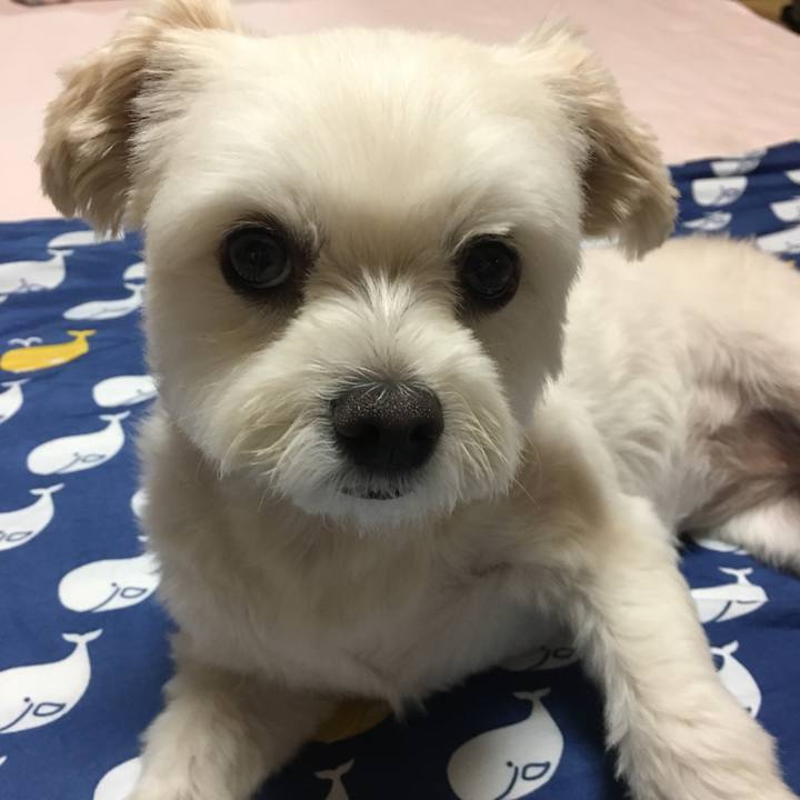 70e82353 4735 4be3 99d8 cd393c6d10d9 1565174610340