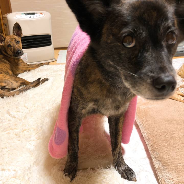 70e87f8e 4e59 4e55 90af f0276e1b9752 1578309032957