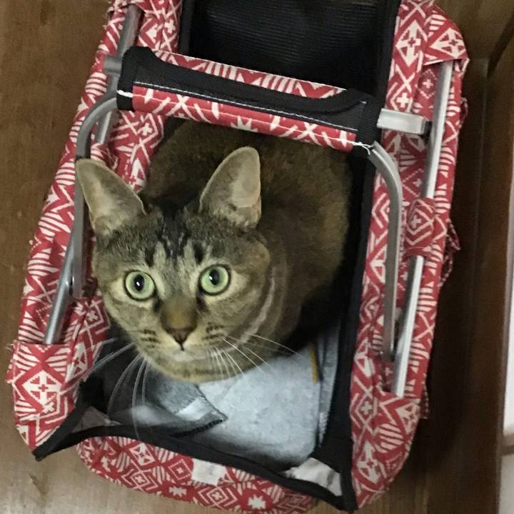 70e8869a 633a 44a4 92ea a1e9fa245108 1669208991181