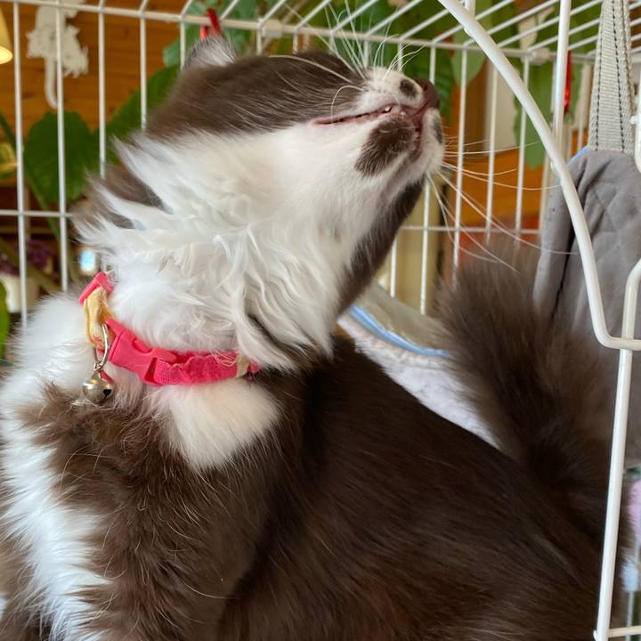 70e8b699 a685 4c89 a2be ff81a356ffdb 1698118558442