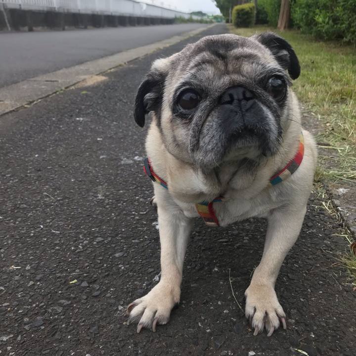 70e8c6f2 e8a1 4cd3 9802 d5e2ce72c379 1557748804039