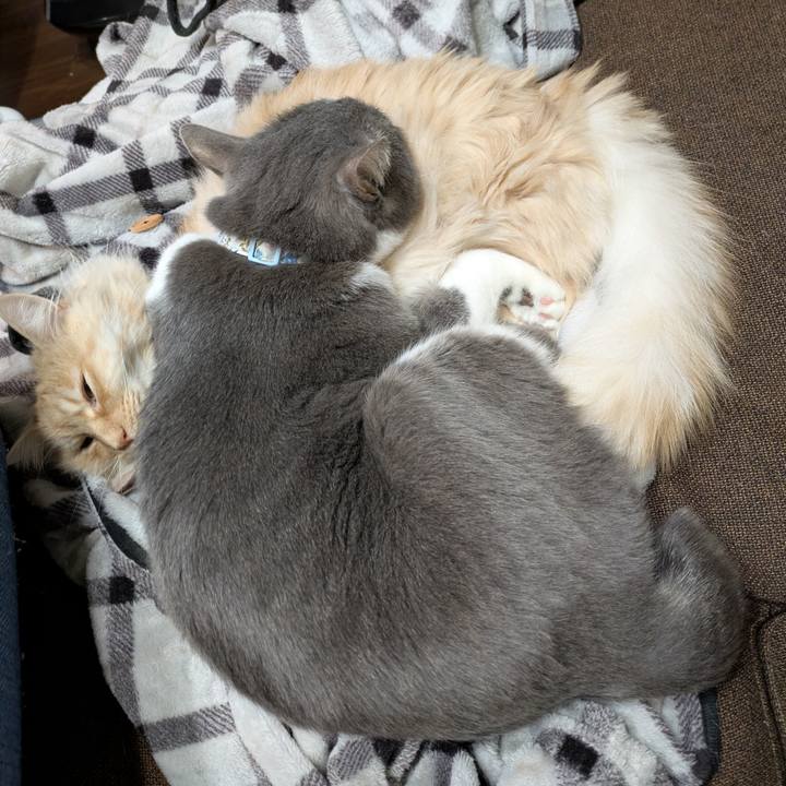 70e8d44e f86b 47a4 9828 1adf42071ce5 1741835001545