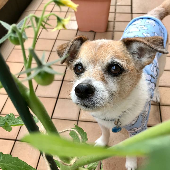 70e90472 9178 4ddd 9bda 780f25fff6e8 1622343612968