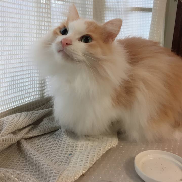 70e947d0 bd4e 4f61 8c91 1d5dadeab884 1516800906291