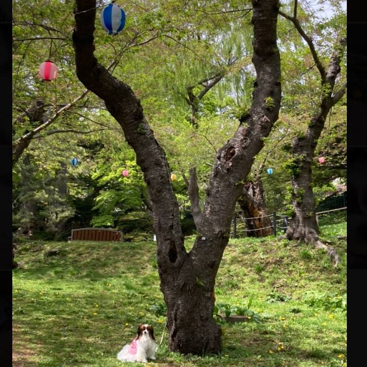 70e9561d 9017 4608 abff 0c9cb972d1e5 1683439416390