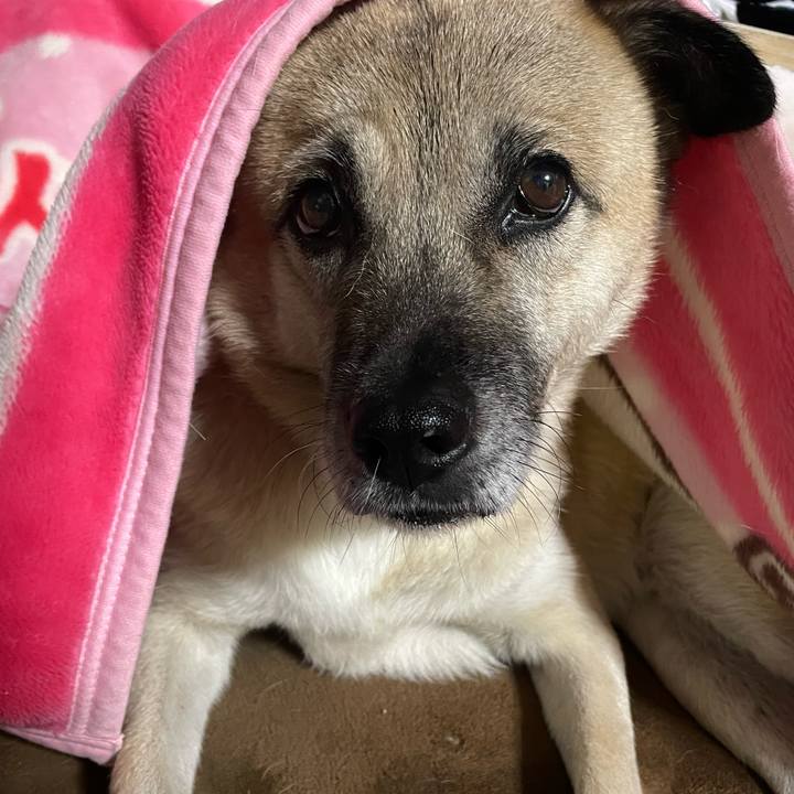 70e964b5 1102 4b30 bc09 6ef5d7182281 1701866874957