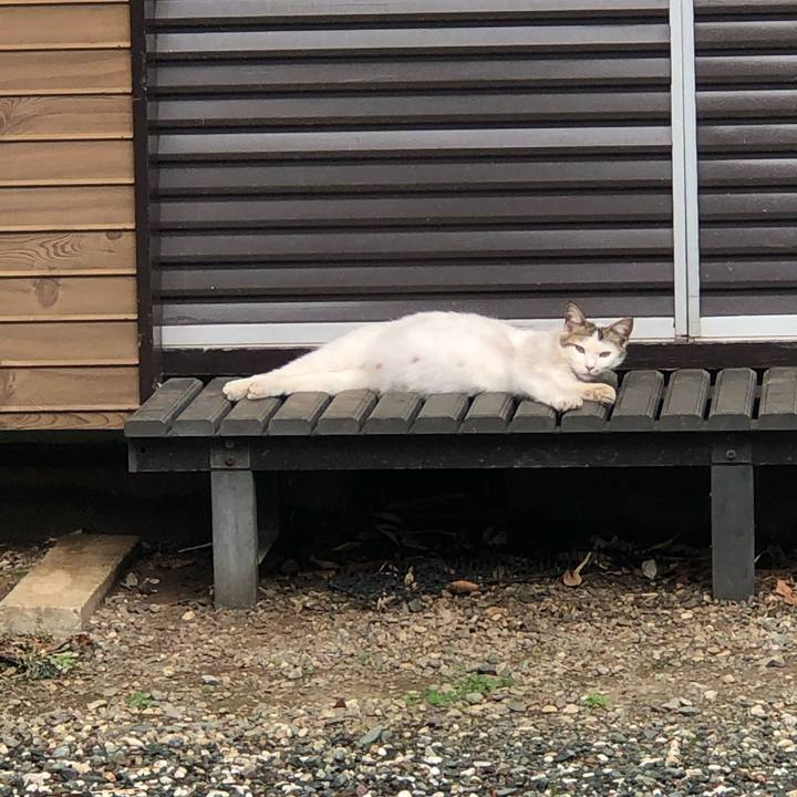 70e96819 f5b5 4f30 b455 e7c0d50ed72f 1588577556714