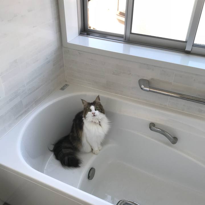 70e98231 171e 4e7e b1c1 fbb2c00858e6 1533854661766