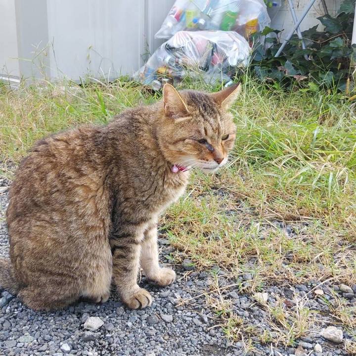 70e98ad9 49f1 46cc 9532 eb33ba968e2e 1602548564592