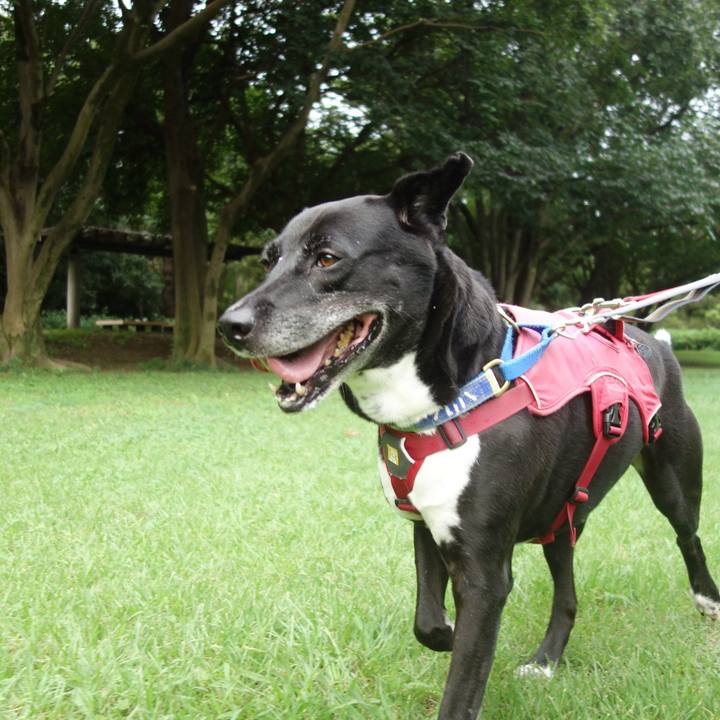 70e99800 b446 4879 b91a d29a34b313b6 1693181865279