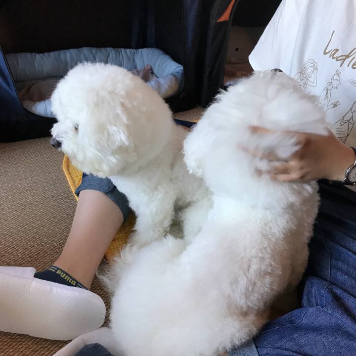 70e9aa67 05ea 4f0a aa33 b018b83acb4f 1567730391035