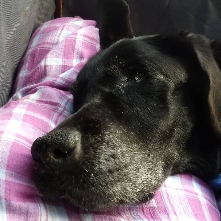 70e9b171 2f36 44db 893e 4ceb930f01cf 1725750655014