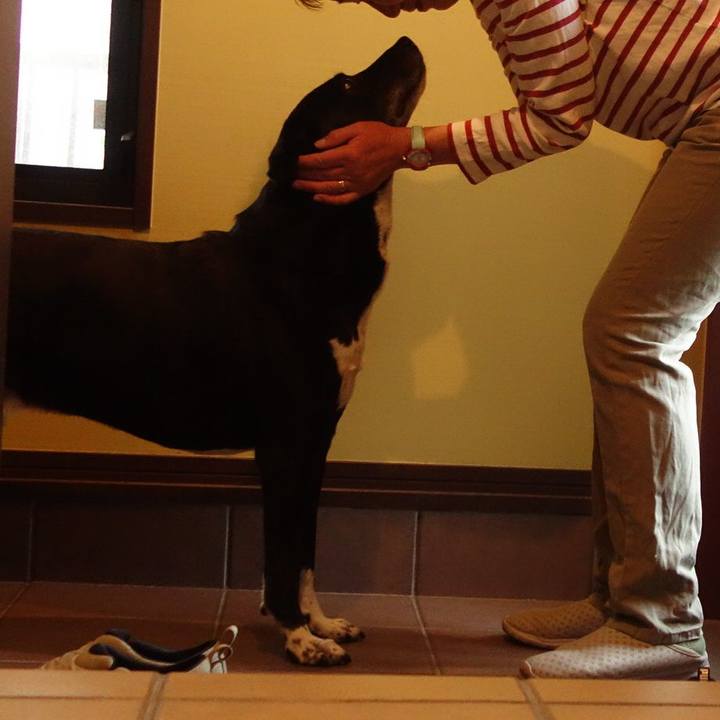 70e9bc77 6b74 473f aa62 86517fff947c 1682651284006