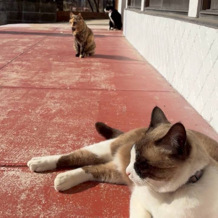 70e9e962 2081 4dd3 9eb4 5d53b438dac3 1770986485036