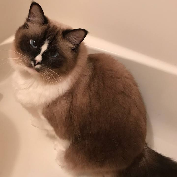 70ea0fae 2b40 4b58 b50e d5adb6cee072 1512304593136