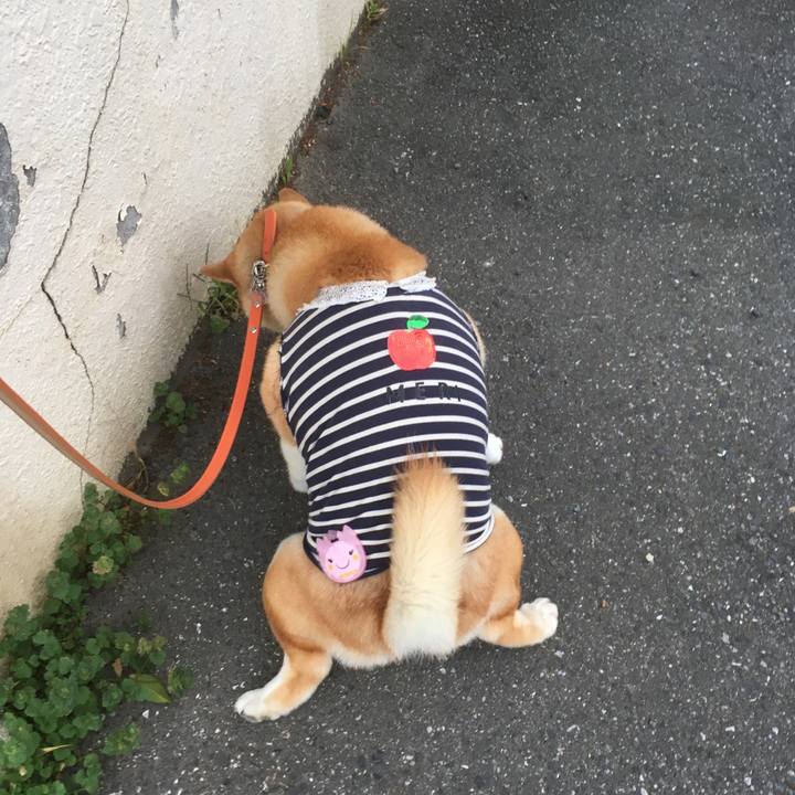 70ea1d3b 032e 44d8 be4a d0254d662c5f 1543995834971