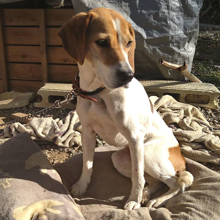 70ea3114 98d5 468c 9812 c2776822df16 1646046014436