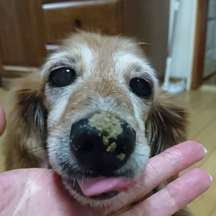 70ea5030 c53f 4797 9518 1d1d3adcb748 1509700355255