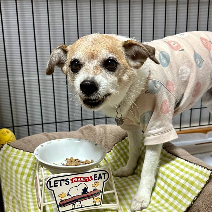 70ea6402 4f9b 4d5b 97a3 52b92ba71b40 1668378918655