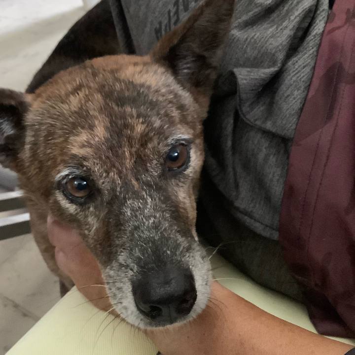 70ea6c40 0acb 4032 ba1b 6e4dc823fd0c 1699845928664