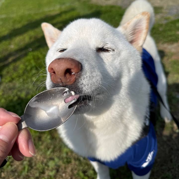 70eab368 a64a 411d b0d3 a085a9a82c12 1745736226106